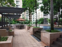 versilia-on-haig photo thumbnail #2